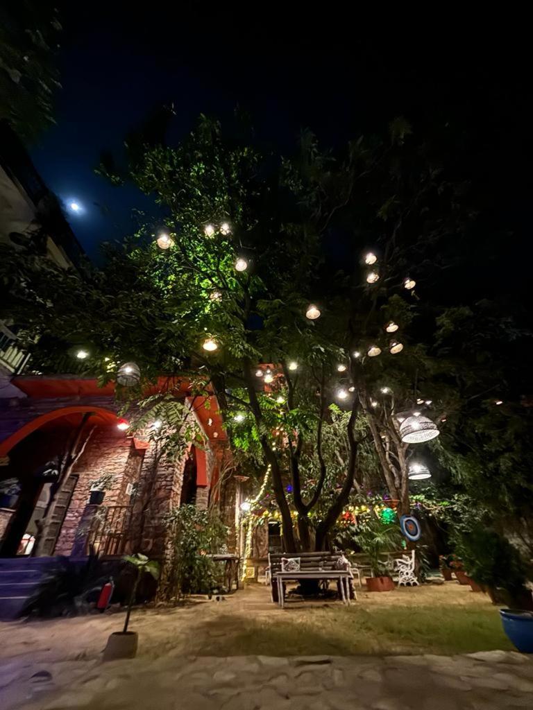 Bed and Breakfast The Secret Garden Pushkar Exterior foto
